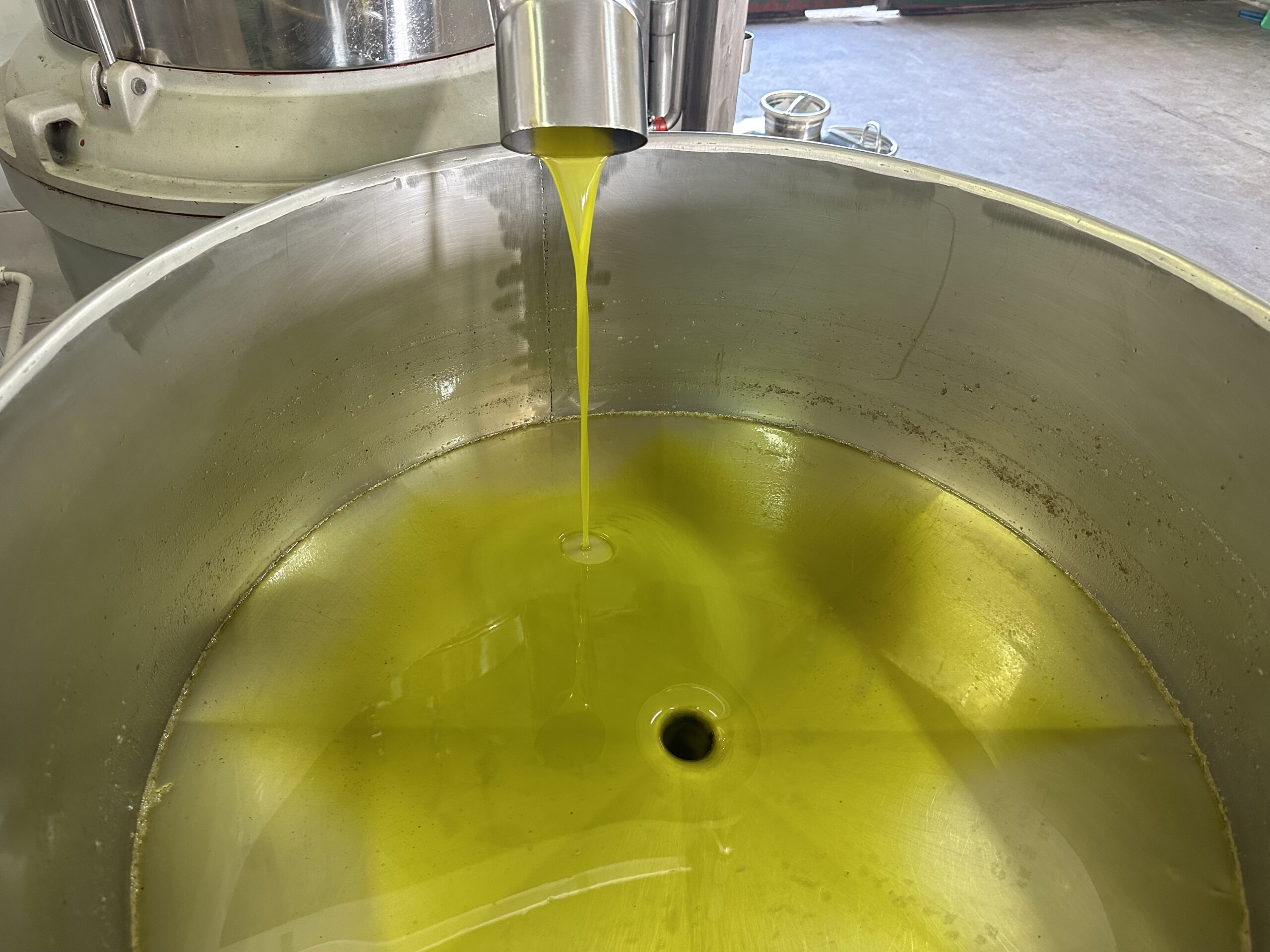 olio extra vergine della basilicata